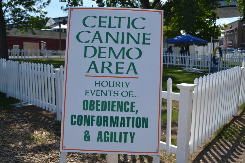 Celtic Canine Demo Area