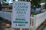 Celtic Canines