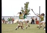 1982 Milwaukee Irish Fest: Gaelic Football and Hurling